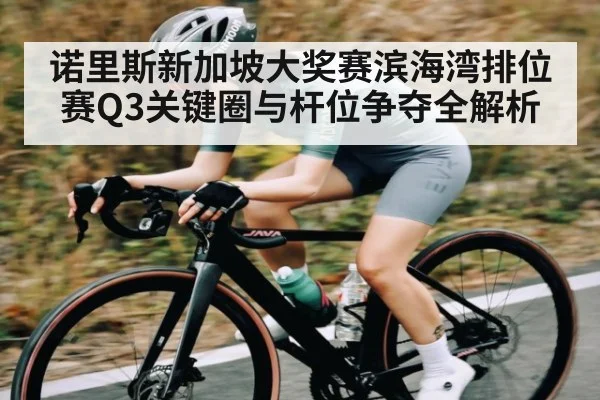 诺里斯新加坡大奖赛滨海湾排位赛Q3关键圈与杆位争夺全解析