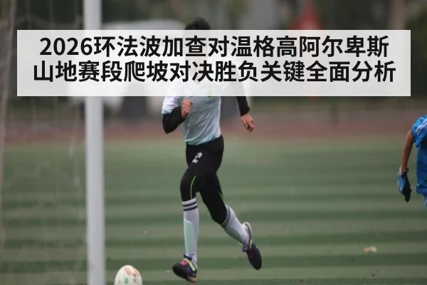 2026环法波加查对温格高阿尔卑斯山地赛段爬坡对决胜负关键全面分析